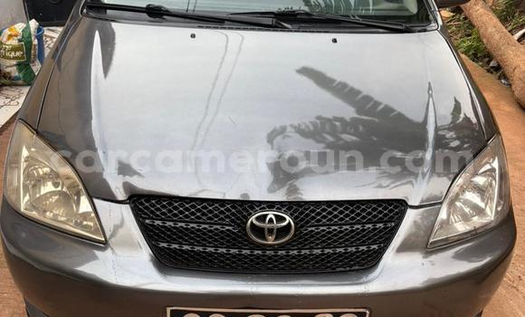 Acheter Occasion Voiture Toyota Corolla Gris à Yaoundé, Central Cameroon