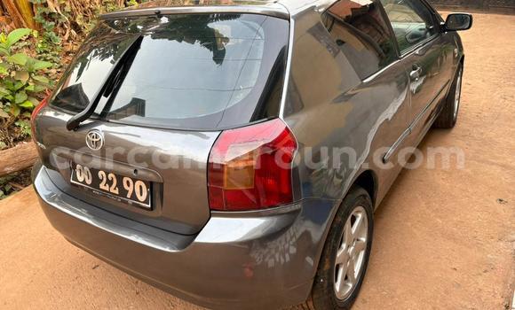 Acheter Occasion Voiture Toyota Corolla Gris à Yaoundé, Central Cameroon Acheter Occasion Voiture Toyota Corolla Gris à Yaoundé, Central Cameroon