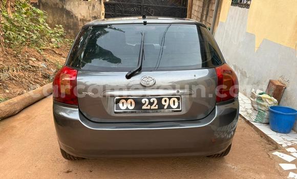 Acheter Occasion Voiture Toyota Corolla Gris à Yaoundé, Central Cameroon Acheter Occasion Voiture Toyota Corolla Gris à Yaoundé, Central Cameroon