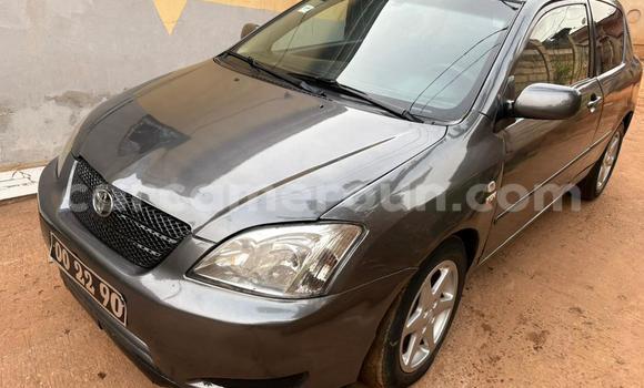 Acheter Occasion Voiture Toyota Corolla Gris à Yaoundé, Central Cameroon Acheter Occasion Voiture Toyota Corolla Gris à Yaoundé, Central Cameroon