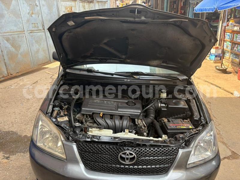 Big with watermark toyota corolla central cameroon yaounde 22356