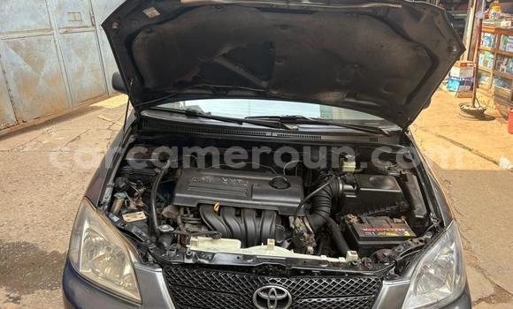 Acheter Occasion Voiture Toyota Corolla Gris à Yaoundé, Central Cameroon Acheter Occasion Voiture Toyota Corolla Gris à Yaoundé, Central Cameroon