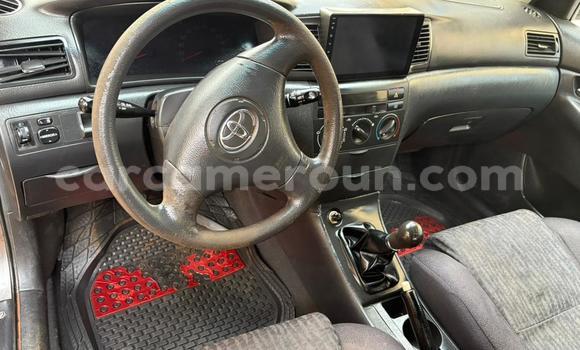 Acheter Occasion Voiture Toyota Corolla Gris à Yaoundé, Central Cameroon Acheter Occasion Voiture Toyota Corolla Gris à Yaoundé, Central Cameroon