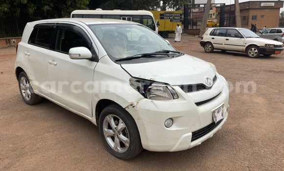 Acheter Occasion Voiture Toyota IST Blanc à Yaoundé, Central Cameroon Acheter Occasion Voiture Toyota IST Blanc à Yaoundé, Central Cameroon