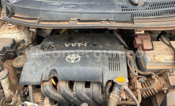 Acheter Occasion Voiture Toyota IST Blanc à Yaoundé, Central Cameroon Acheter Occasion Voiture Toyota IST Blanc à Yaoundé, Central Cameroon