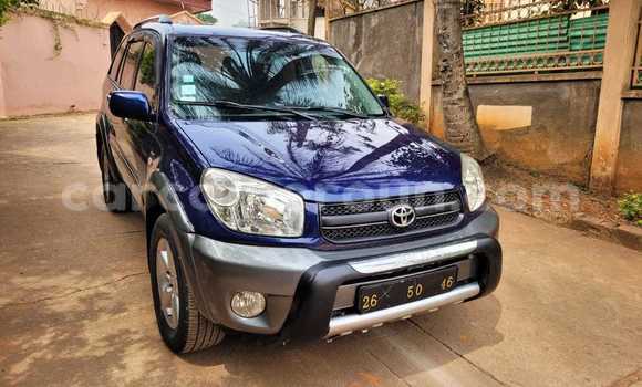 Acheter Occasion Voiture Toyota RAV4 Bleu à Yaoundé, Central Cameroon
