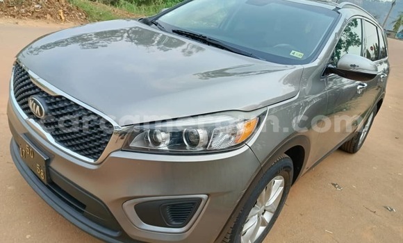 Buy Used Kia Sorento Black Car in Yaounde in Central Cameroon Buy Used Kia Sorento Black Car in Yaounde in Central Cameroon