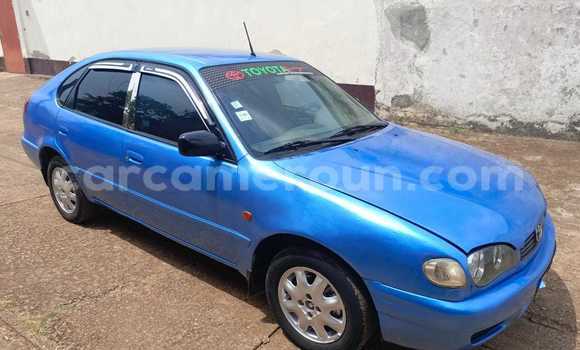 Acheter Occasion Voiture Toyota Corolla Bleu à Yaoundé, Central Cameroon