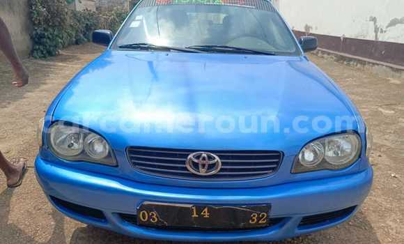 Acheter Occasion Voiture Toyota Corolla Bleu à Yaoundé, Central Cameroon Acheter Occasion Voiture Toyota Corolla Bleu à Yaoundé, Central Cameroon