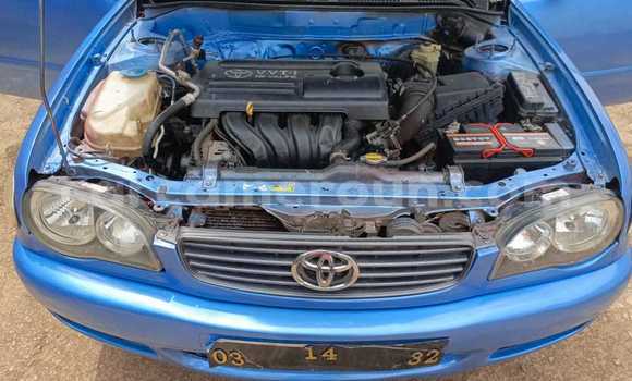 Acheter Occasion Voiture Toyota Corolla Bleu à Yaoundé, Central Cameroon Acheter Occasion Voiture Toyota Corolla Bleu à Yaoundé, Central Cameroon