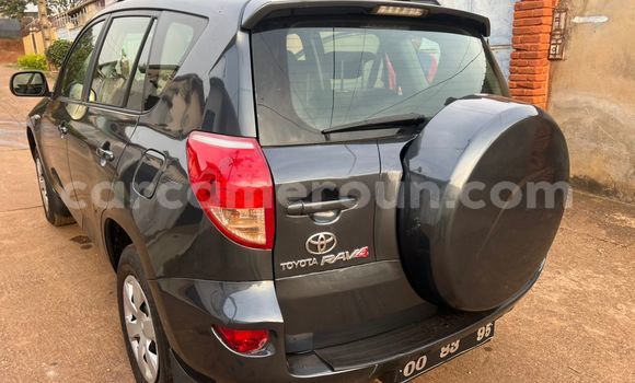 Buy Used Toyota RAV4 Black Car in Yaounde in Central Cameroon Buy Used Toyota RAV4 Black Car in Yaounde in Central Cameroon