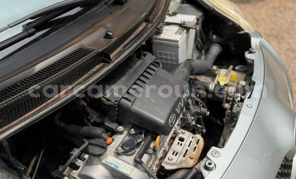 Buy Used Toyota Vitz Silver Car in Yaounde in Central Cameroon Buy Used Toyota Vitz Silver Car in Yaounde in Central Cameroon