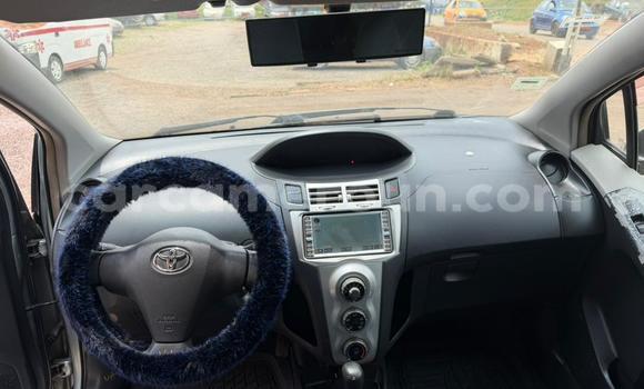 Buy Used Toyota Vitz Silver Car in Yaounde in Central Cameroon Buy Used Toyota Vitz Silver Car in Yaounde in Central Cameroon