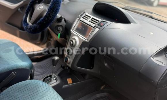 Buy Used Toyota Vitz Silver Car in Yaounde in Central Cameroon Buy Used Toyota Vitz Silver Car in Yaounde in Central Cameroon