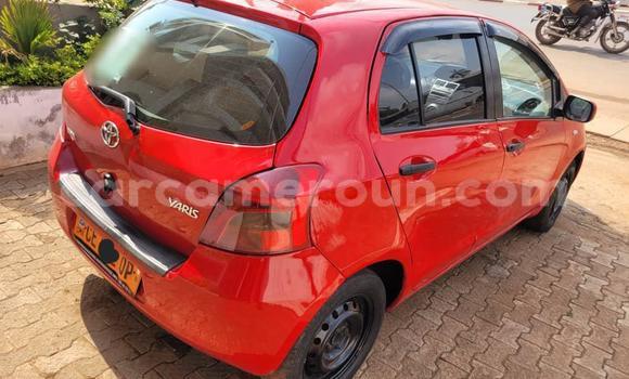 Acheter Occasion Voiture Toyota Yaris Rouge à Yaoundé, Central Cameroon Acheter Occasion Voiture Toyota Yaris Rouge à Yaoundé, Central Cameroon