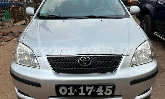 Acheter Occasion Voiture Toyota Corolla Gris à Yaoundé, Central Cameroon