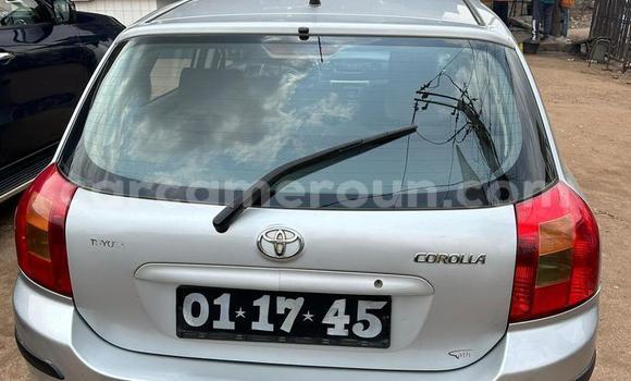 Acheter Occasion Voiture Toyota Corolla Gris à Yaoundé, Central Cameroon Acheter Occasion Voiture Toyota Corolla Gris à Yaoundé, Central Cameroon