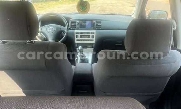 Acheter Occasion Voiture Toyota Corolla Noir à Yaoundé, Central Cameroon Acheter Occasion Voiture Toyota Corolla Noir à Yaoundé, Central Cameroon