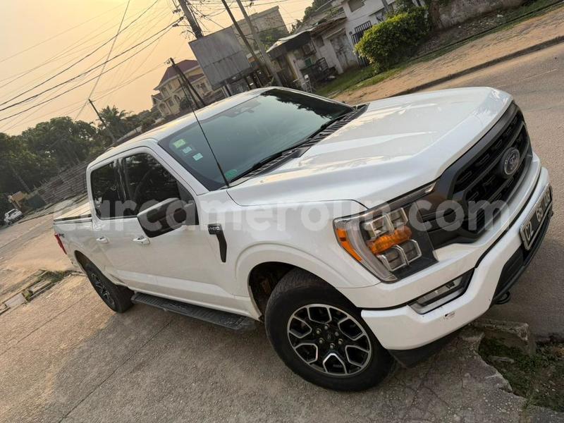 Big with watermark ford f 150 littoral cameroon douala 22378