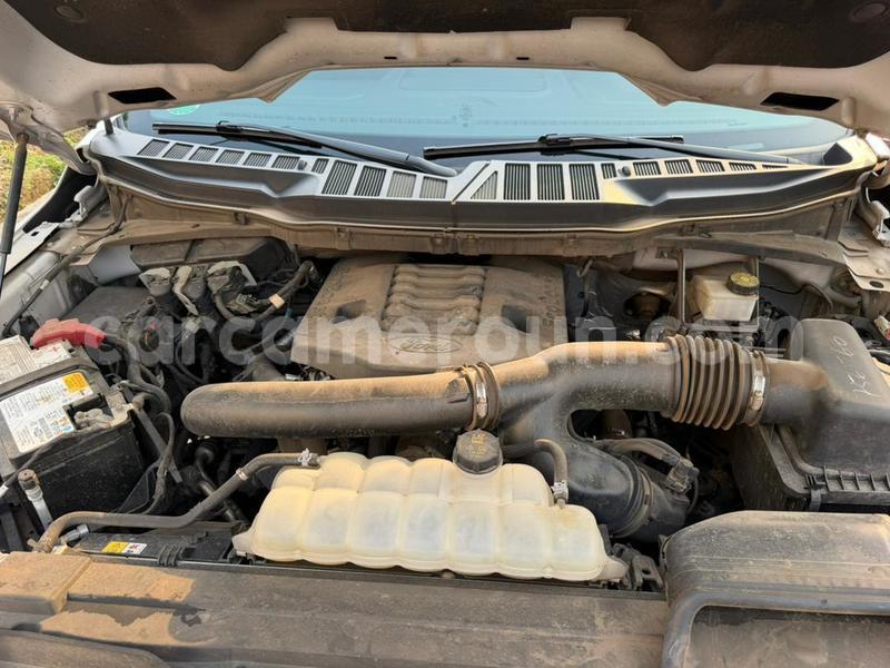 Big with watermark ford f 150 littoral cameroon douala 22378