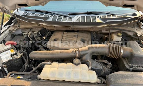 Acheter Occasion Voiture Ford F–150 Blanc à Douala, Littoral Cameroon Acheter Occasion Voiture Ford F–150 Blanc à Douala, Littoral Cameroon