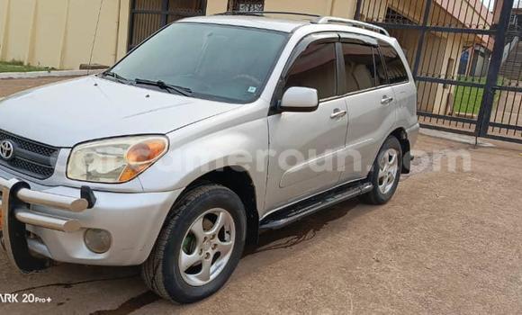 Acheter Occasion Voiture Toyota RAV4 Gris à Yaoundé, Central Cameroon Acheter Occasion Voiture Toyota RAV4 Gris à Yaoundé, Central Cameroon