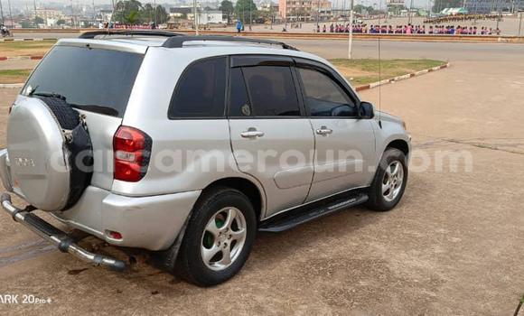 Acheter Occasion Voiture Toyota RAV4 Gris à Yaoundé, Central Cameroon Acheter Occasion Voiture Toyota RAV4 Gris à Yaoundé, Central Cameroon