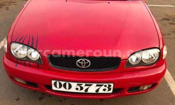 Sayi Na hannu Toyota Corolla Red Mota in Yaounde a Babban Kamaru Sayi Na hannu Toyota Corolla Red Mota in Yaounde a Babban Kamaru