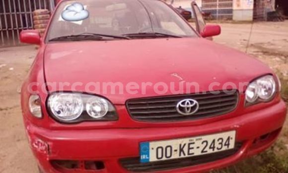 Acheter Occasion Voiture Toyota Corolla Rouge à Yaoundé, Central Cameroon Acheter Occasion Voiture Toyota Corolla Rouge à Yaoundé, Central Cameroon