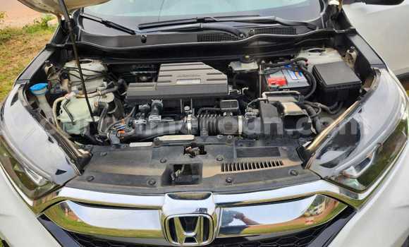 Sayi Na hannu Honda CR–V White Mota in Yaounde a Babban Kamaru Sayi Na hannu Honda CR–V White Mota in Yaounde a Babban Kamaru