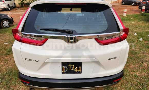 Sayi Na hannu Honda CR–V White Mota in Yaounde a Babban Kamaru Sayi Na hannu Honda CR–V White Mota in Yaounde a Babban Kamaru