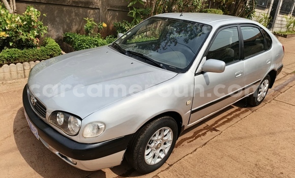 Buy Used Toyota Corolla Silver Car in Yaounde in Central Cameroon