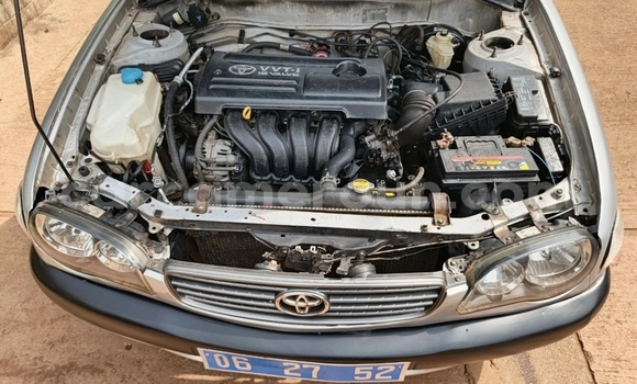Sayi Na hannu Toyota Corolla Azurfa Mota in Yaounde a Babban Kamaru Sayi Na hannu Toyota Corolla Azurfa Mota in Yaounde a Babban Kamaru