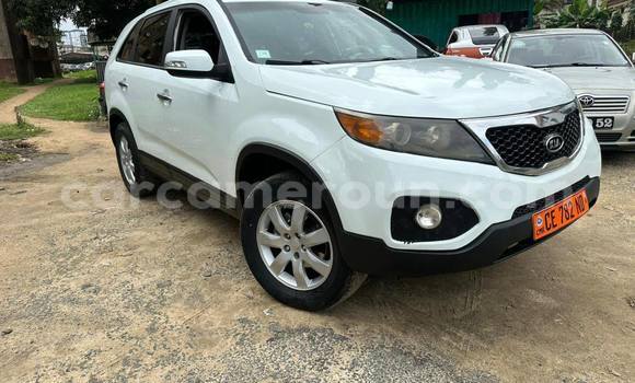 Sayi Na hannu Kia Sorento White Mota in Douala a Ƙasar Kamaru Sayi Na hannu Kia Sorento White Mota in Douala a Ƙasar Kamaru
