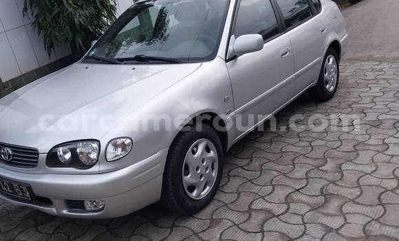 Buy Used Toyota AE91 Silver Car in Douala in Littoral Cameroon