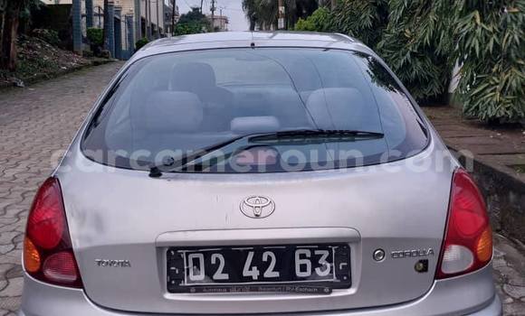 Sayi Na hannu Toyota AE91 Azurfa Mota in Douala a Ƙasar Kamaru Sayi Na hannu Toyota AE91 Azurfa Mota in Douala a Ƙasar Kamaru