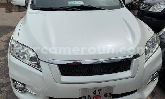 Buy Used Toyota Vanguard White Car in Douala in Littoral Cameroon