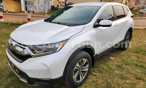 Buy Used Honda CR–V White Car in Yaounde in Central Cameroon