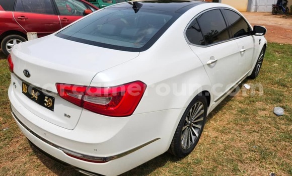 Buy Used Kia K7 White Car in Yaounde in Central Cameroon Buy Used Kia K7 White Car in Yaounde in Central Cameroon
