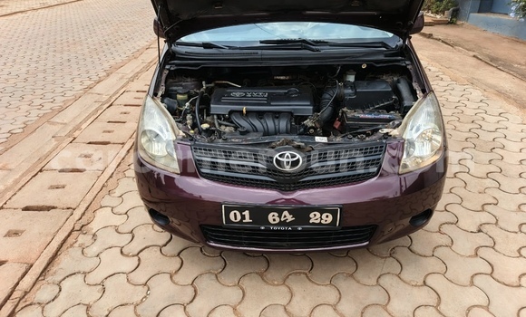 Buy Used Toyota Corolla Verso Red Car in Yaounde in Central Cameroon Buy Used Toyota Corolla Verso Red Car in Yaounde in Central Cameroon