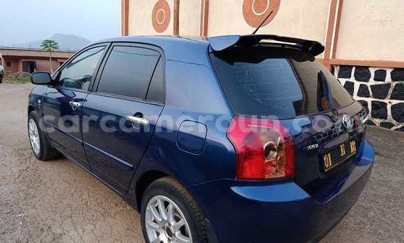 Buy Used Toyota Corolla Blue Car in Yaounde in Central Cameroon Buy Used Toyota Corolla Blue Car in Yaounde in Central Cameroon