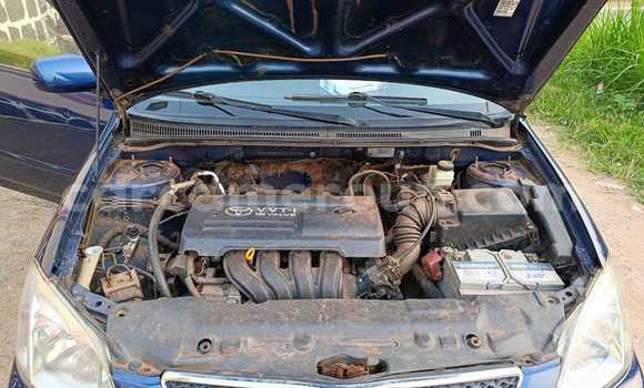 Buy Used Toyota Corolla Blue Car in Yaounde in Central Cameroon Buy Used Toyota Corolla Blue Car in Yaounde in Central Cameroon