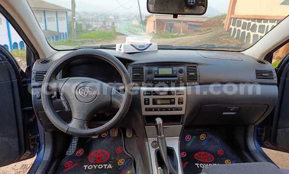Buy Used Toyota Corolla Blue Car in Yaounde in Central Cameroon Buy Used Toyota Corolla Blue Car in Yaounde in Central Cameroon