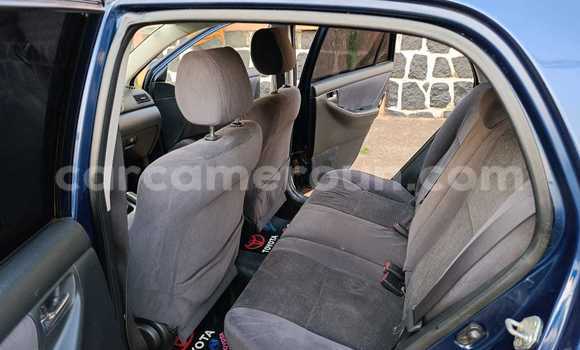 Buy Used Toyota Corolla Blue Car in Yaounde in Central Cameroon Buy Used Toyota Corolla Blue Car in Yaounde in Central Cameroon