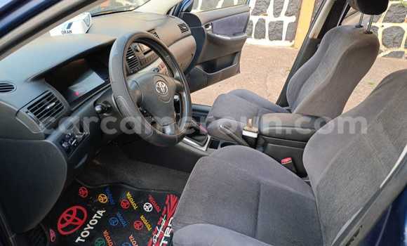 Buy Used Toyota Corolla Blue Car in Yaounde in Central Cameroon Buy Used Toyota Corolla Blue Car in Yaounde in Central Cameroon