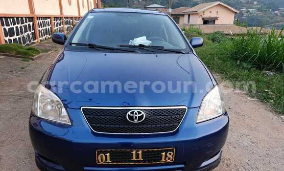 Buy Used Toyota Corolla Blue Car in Yaounde in Central Cameroon Buy Used Toyota Corolla Blue Car in Yaounde in Central Cameroon
