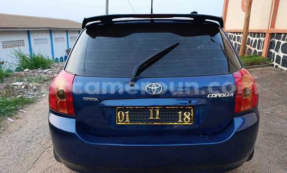 Buy Used Toyota Corolla Blue Car in Yaounde in Central Cameroon Buy Used Toyota Corolla Blue Car in Yaounde in Central Cameroon