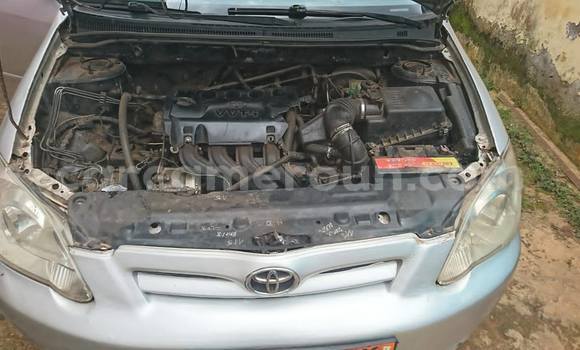 Acheter Occasion Voiture Toyota Corolla Autre à Yaoundé, Central Cameroon Acheter Occasion Voiture Toyota Corolla Autre à Yaoundé, Central Cameroon