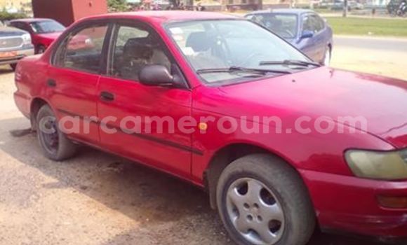 Acheter Occasion Voiture Toyota Corolla Rouge à Yaoundé, Central Cameroon Acheter Occasion Voiture Toyota Corolla Rouge à Yaoundé, Central Cameroon
