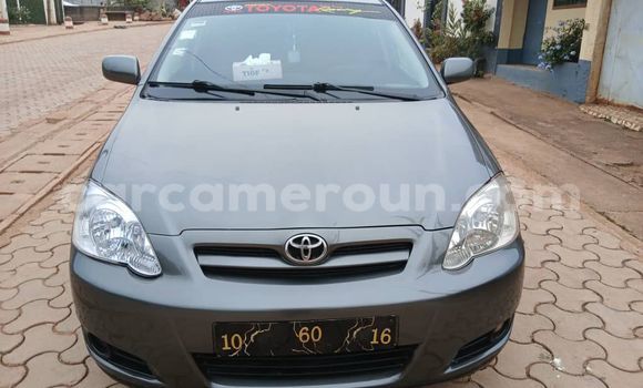 Acheter Occasion Voiture Toyota Corolla Gris à Yaoundé, Central Cameroon